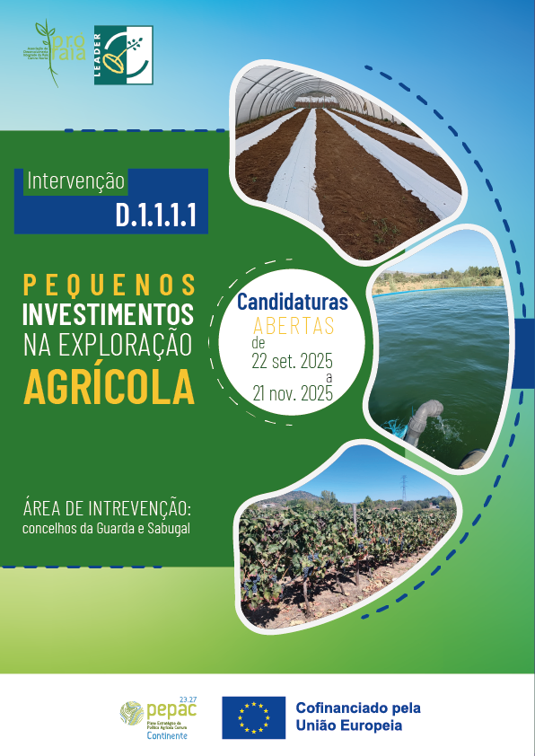D.1.1.1.1 Cartaz