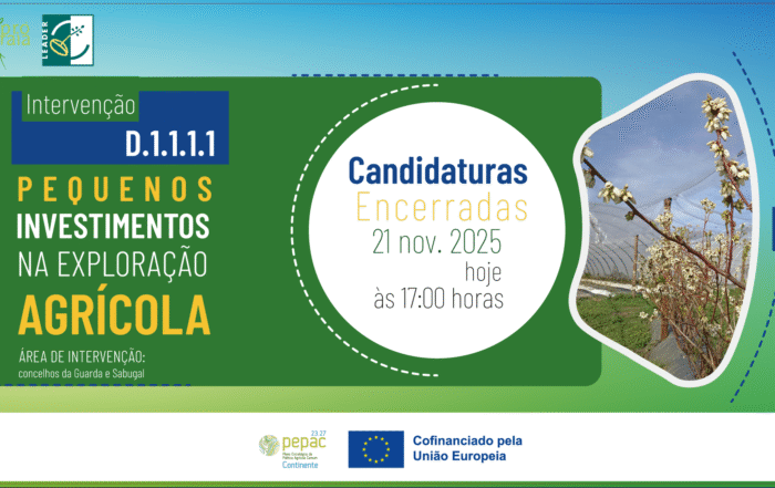 D.1.1.1.1 – Pequenos Investimentos Na Exploração Agrícola Candidaturas Enc