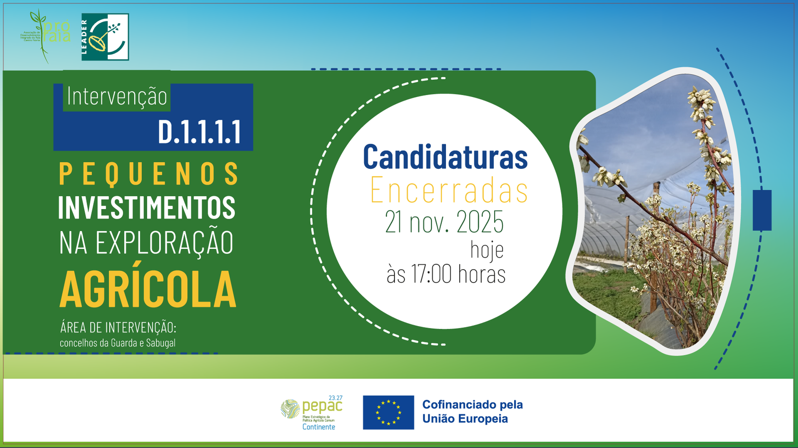 D.1.1.1.1 – Pequenos Investimentos Na Exploração Agrícola Candidaturas Enc