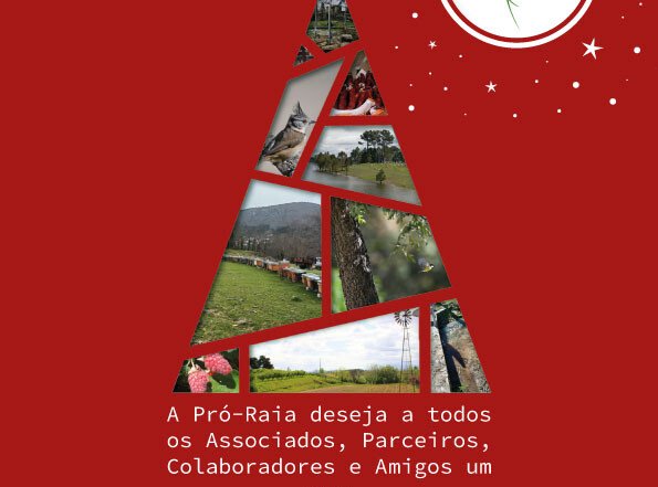 Pró Raia Natal 2025 (1)