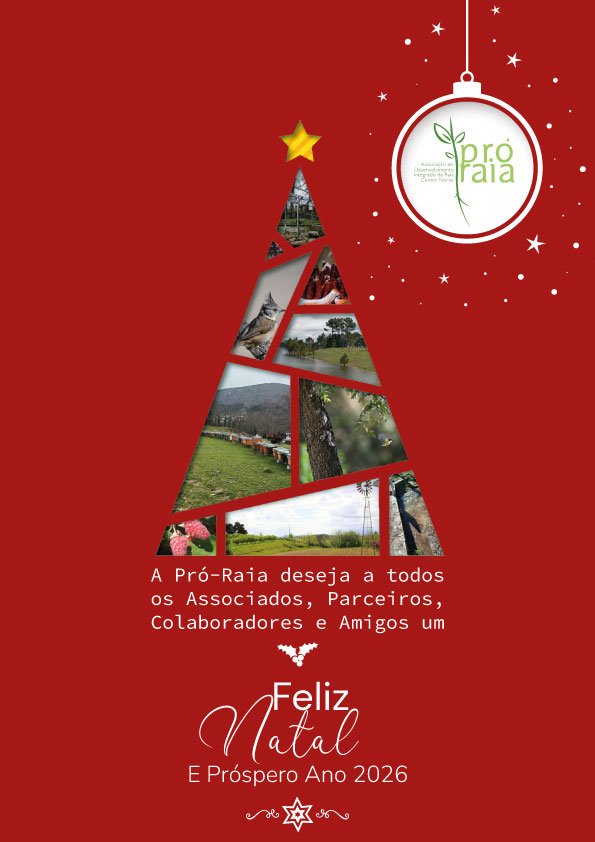 Pró Raia Natal 2025 (1)